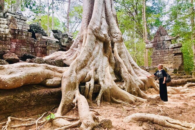 1-Day Angkor Wat Cycling Tour: Scenic Bike Adventure in Siem Reap - Ta Prohm brings the jungle temple moment