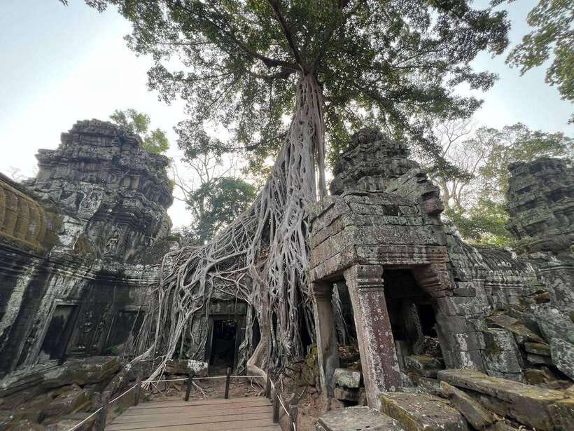 1-Day Angkor Wat Private Tour with Spanish Tour Guide. - Bayon’s smiling faces need time