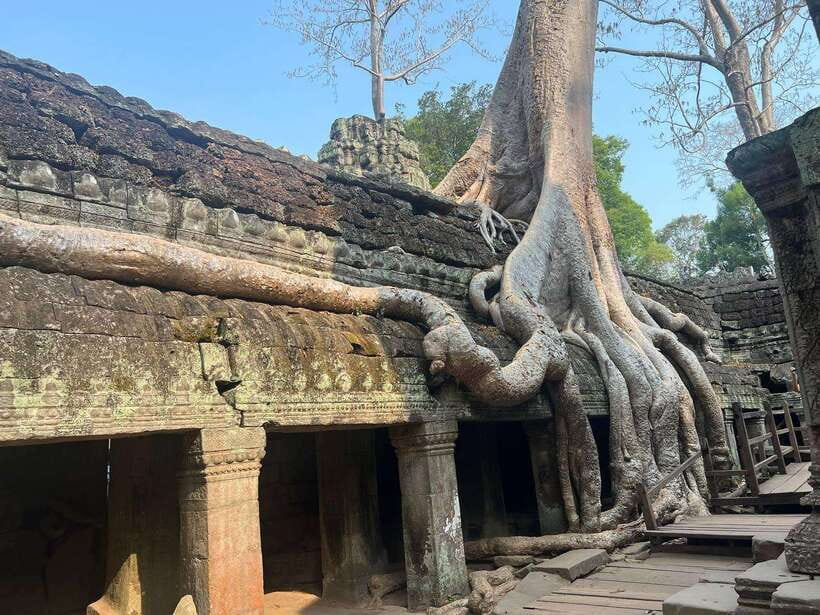 1-Day Angkor Wat Private Tour with Spanish Tour Guide. - 2:00 PM at Ta Prohm, where jungle meets stone