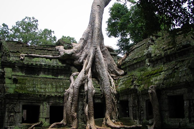 1-Day Angkor Wat Sunrise & All Interesting Temples Private Tour - Why this private sunrise plan works