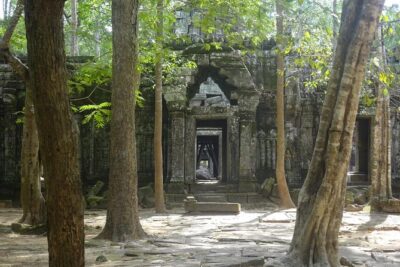 1-Day Angkor Wat Sunrise & All Interesting Temples Private Tour