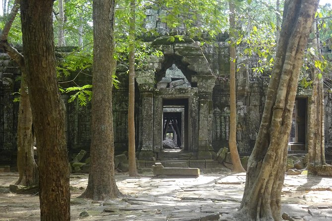 1-Day Angkor Wat Sunrise & All Interesting Temples Private Tour - Angkor Wat at 4:45am and first light