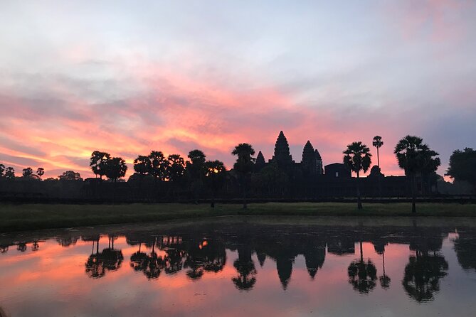 1 Day | Angkor Wat Sunrise with Small Tour - Ta Prohm, where trees meet the ruins