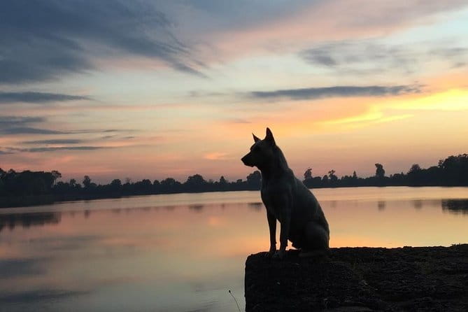 1 Day Angkor Wat with Sunrise Tour - Sunrise at Angkor Wat and the reflecting pool