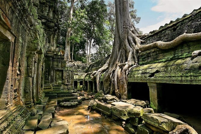 1 day special Tour: Angkor Wat,Bayon,Ta Prohm, Bantey srei and Beng Mealea - Angkor Wat, the day’s grand opening