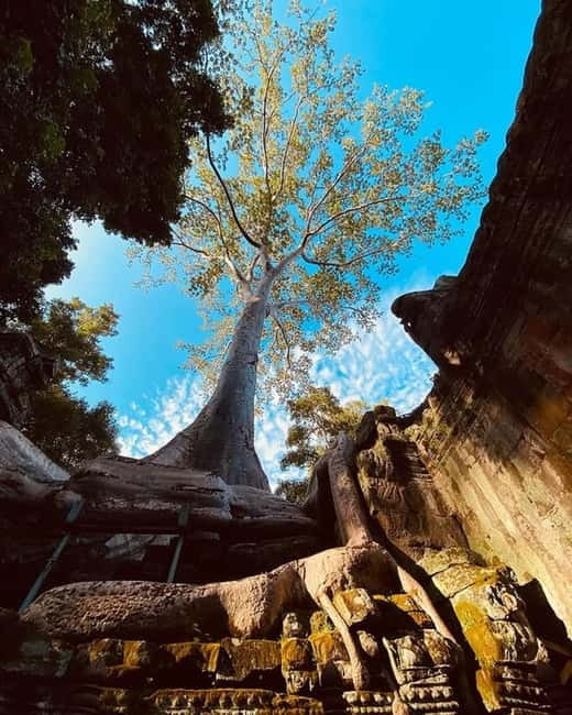 1-Day Trip to Angkor Wat with a Private or Shared Guide in Spanish - Booking details worth checking first