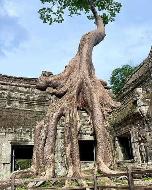 1-Day Trip to Angkor Wat with a Private or Shared Guide in Spanish - Lunch near Srah Srang
