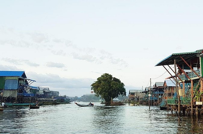1day private tour all main temple in Angkor,sunset at TonleSap floating village - Ta Prohm, where trees claim the ruins
