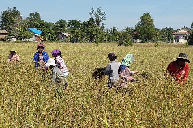 1day private tour all main temple in Angkor,sunset at TonleSap floating village - What the $111 group price really means