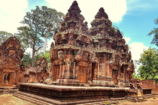 1day Private tour, Angkor sunrise,all main temples, Banteay srei - Ta Prohm and the trees over the ruins