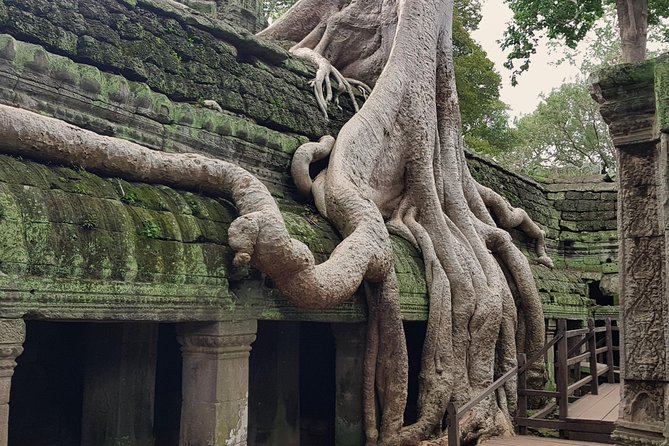 1day Private tour, Angkor sunrise,all main temples, Banteay srei - What private transport changes