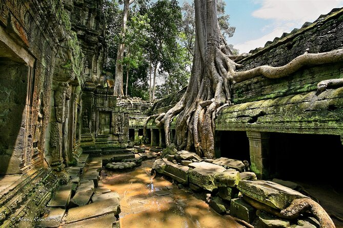 1day private tour to all majestic Temples in Angkor and Sunset - Phnom Bakheng makes sunset a commitment