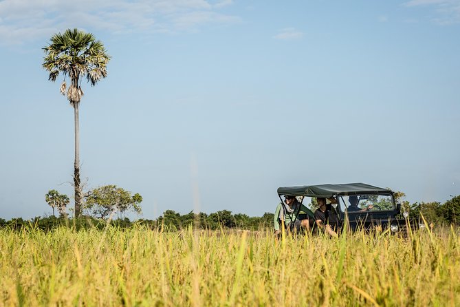 2-Day : Angkor Sunrise, Kompong Phluk Sunset & Banteay Srei Tour - Why this Angkor tour is worth considering