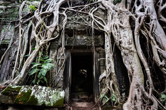 2-Day : Angkor Sunrise, Kompong Phluk Sunset & Banteay Srei Tour - Banteay Srei and the finest small-scale carvings