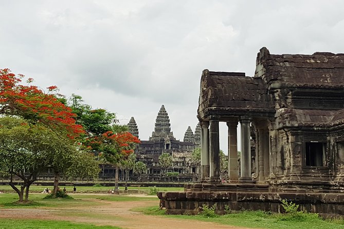 2 Day private tour: Small tour, Big tour, sunrise and sunset,floating village. - Ta Prohm and the Appeal of a Partly Reclaimed Temple