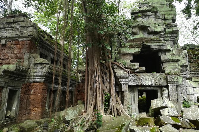 2 Days Angkor temples with Sunrise & Sunset - Ta Prohm and Ta Keo: two very different temple moods