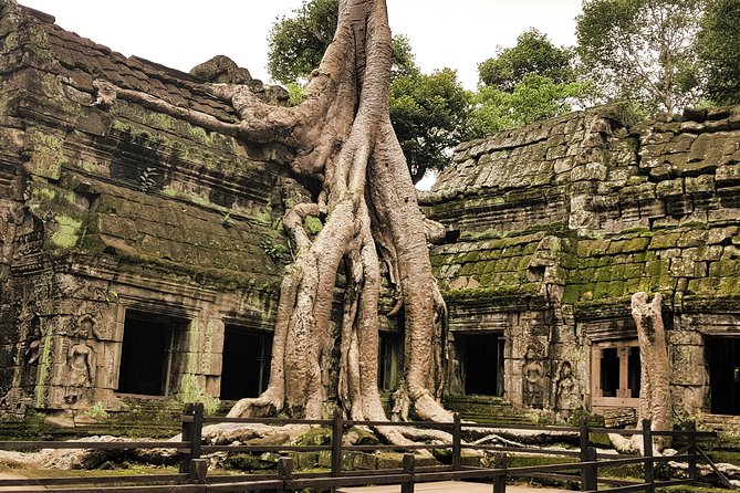 2-Days Private Tour in Angkor Sunrise, Banteay Srei and Beng Mealea Temple - Transport, Comfort, and the Pace of Two Long Days