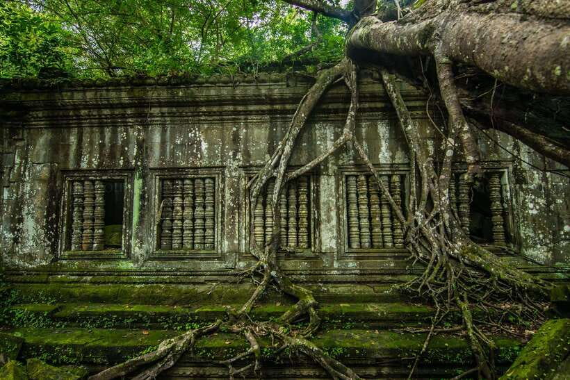 3-Day Angkor Wat & All Interesting Temples With Beng Mealea - Day 1: Angkor Wat, Ta Prohm, and the city of Angkor Thom