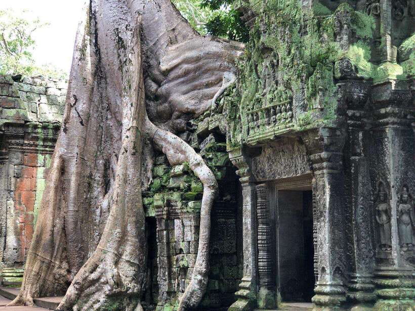 3-Day Exploring Angkor Wat & Siem Reap Highlights Tour. - Beng Mealea Keeps the Ruins Rough Around the Edges