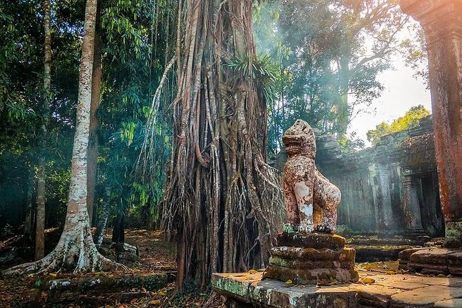 3-Day Tour (The Historical of Khmer Empire) - Day 2: Angkor Wat, Ta Prohm, and the first Khmer capital