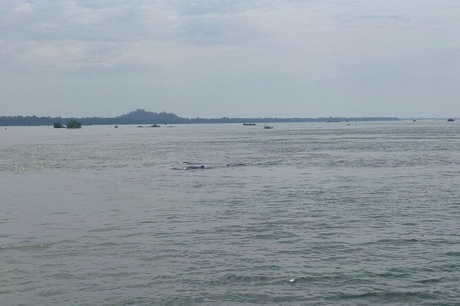 4 hours taking tuk tuk to see Mekong dolphins and countryside - Why Kratie Is Worth the Side Trip