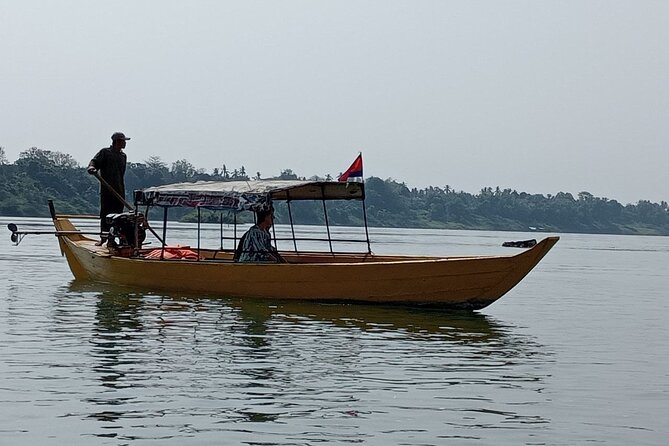 4 hours taking tuk tuk to see Mekong dolphins and countryside - What Dolphin Watching Is Really Like