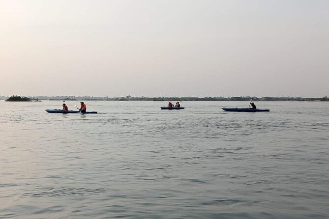 4 hours taking tuk tuk to see Mekong dolphins and countryside - Timing, Delays, and What to Watch