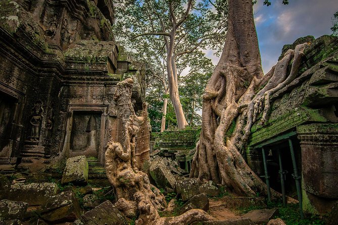5-Day All Major Temples & Kulen Mount Waterfall & Koh Ker & Beng Mealea - Day four: the Grand Circuit, Ta Prohm, and Phnom Bakheng