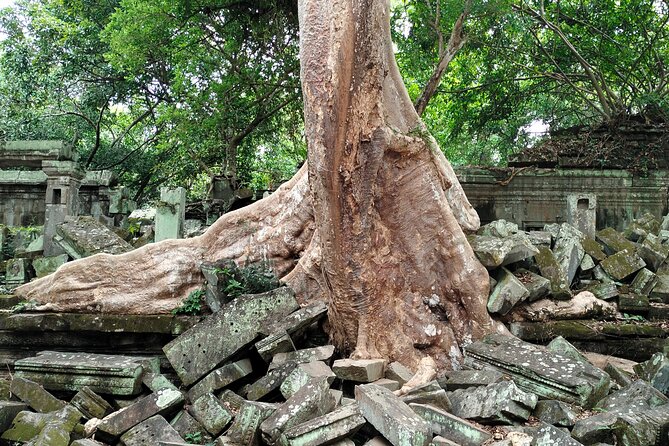 A Day Angkor Wat Sunrise Tour, Ta Prohm & Hidden Gems Beng Mealea - Ta Prohm: roots, ruins, and the Tomb Raider connection