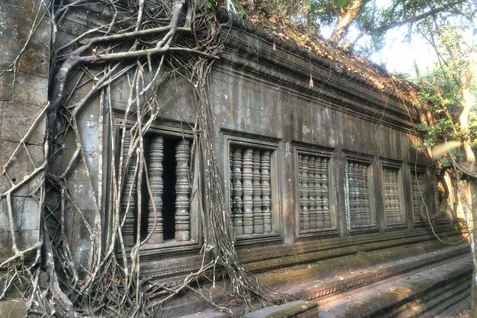 A Day Angkor Wat Sunrise Tour, Ta Prohm & Hidden Gems Beng Mealea - What the private vehicle adds to the day