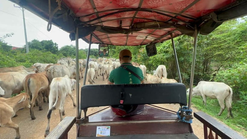 A day tour through Battambang/Local area and landmarks - Key things to know before you book