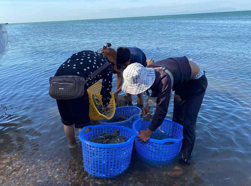 A Day Trip to Kep Beach and Kampot from Phnom Penh - The 3.25-hour road to Kampot