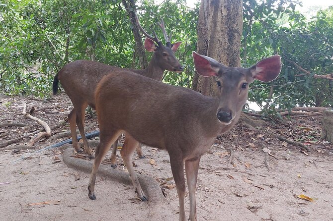 A Day Trip To Phnom Chisor - Tonle Batti From Phnom Penh - What your guide adds to the day