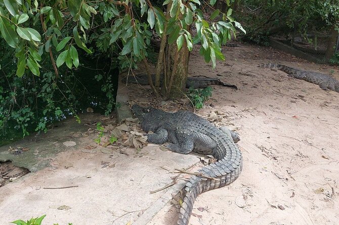 A Day Trip To Phnom Chisor - Tonle Batti From Phnom Penh - Who will enjoy this day trip most?