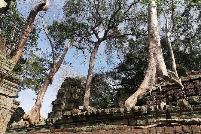 Afternoon Angkor Wat Private Tour with Sunset - Angkor Thom South Gate and the old city walls