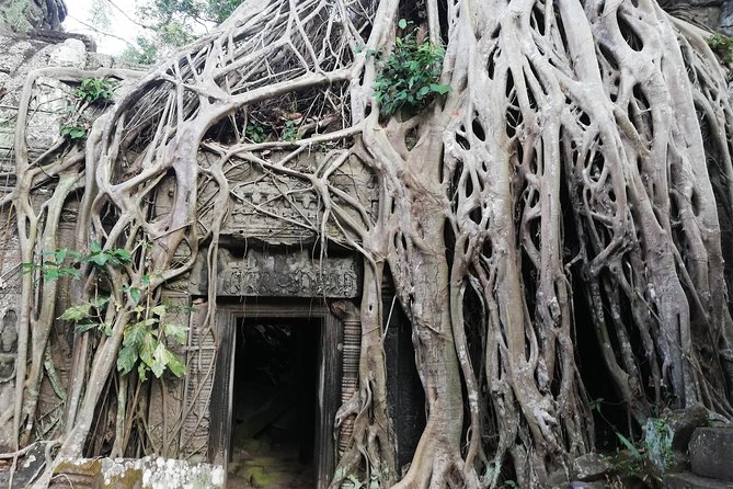 Afternoon Angkor Wat Private Tour with Sunset - Transport, guide, and the small comforts
