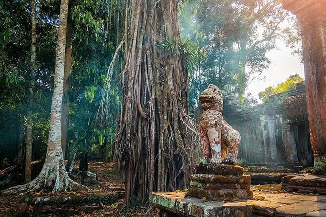 Amazing full day TUKTUK tour - Ta Prohm is the day’s main jungle stop