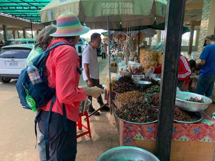 An Unforgettable Road Trip from Phnom Penh to Siem Reap - Who should book this road trip?