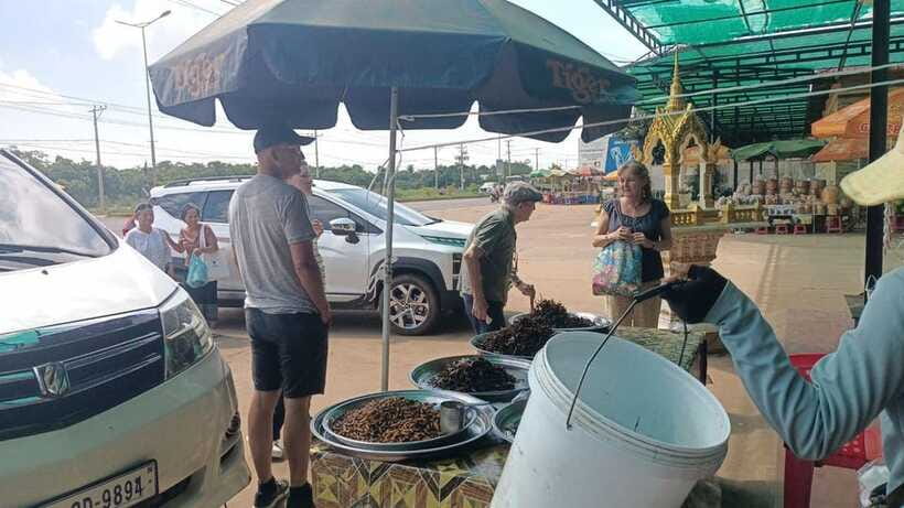 An Unforgettable Road Trip from Phnom Penh to Siem Reap - How the driver can change your day
