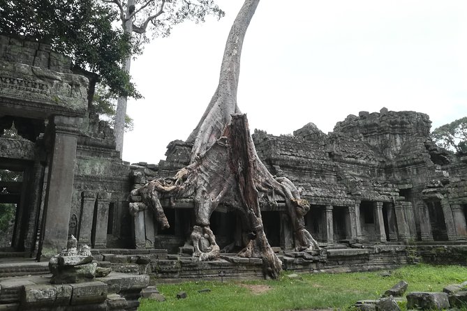 Angkor Grand Circuit Temples Tour - What this Grand Circuit day is really like