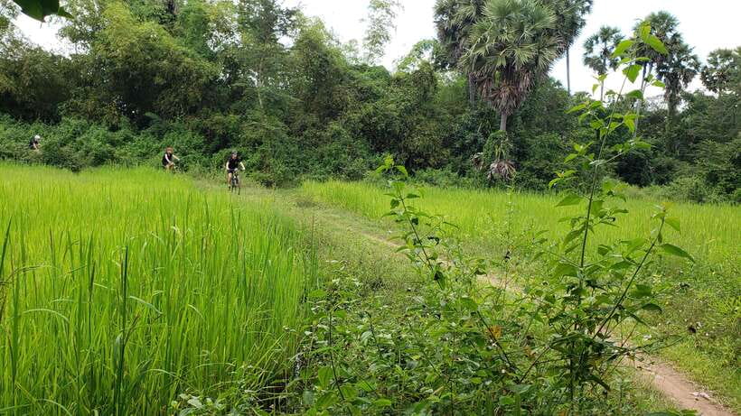 Angkor Jungle Biking Adventure Private Cycling Tour - Lunch at a local restaurant inside the park
