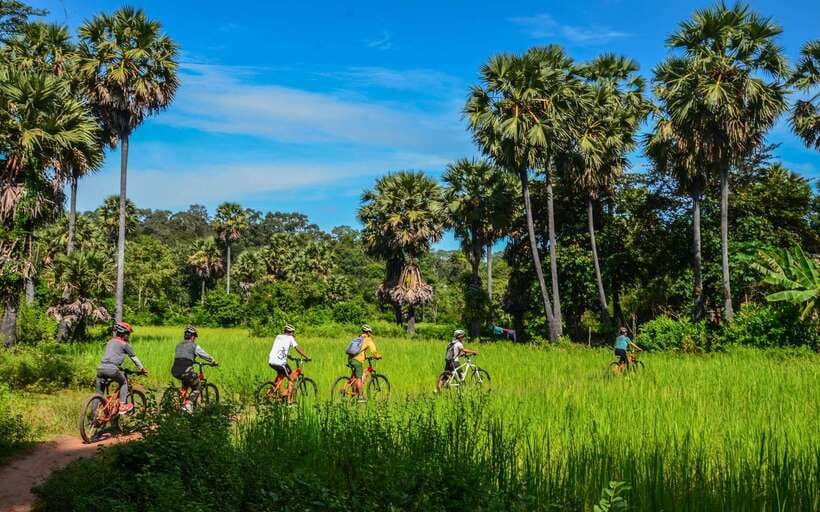 Angkor Jungle Biking Adventure Private Cycling Tour - Small stops, short transfers, and the ride home