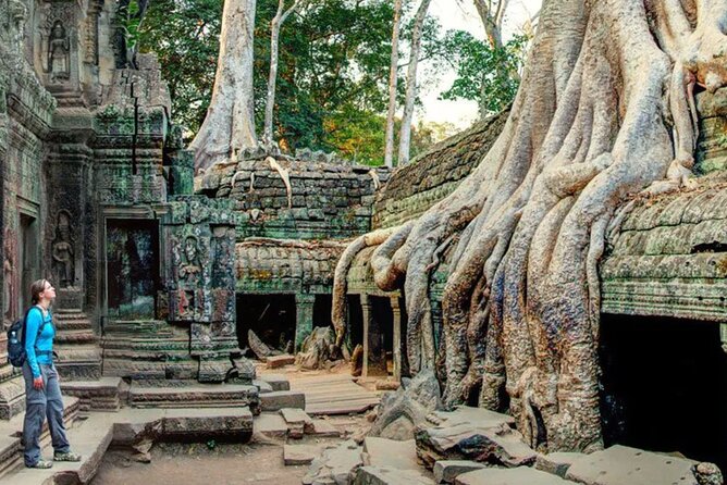 Angkor Sunrise Small Group Tour Inclusive Breakfast and lunch - Food, clothing, and physical demands