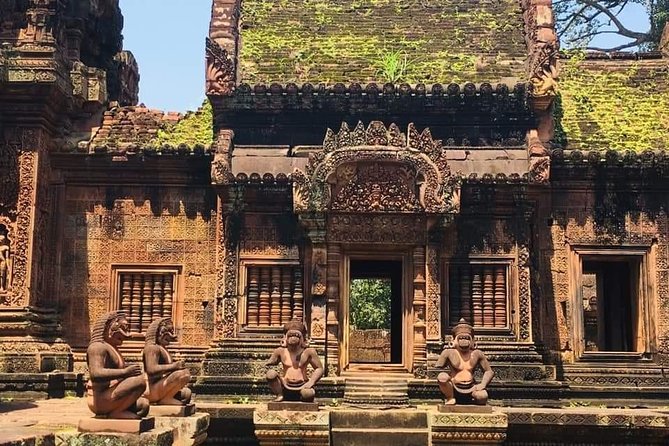 Angkor Temple Sunrise Half Day Tour - Useful preparation for the temple morning