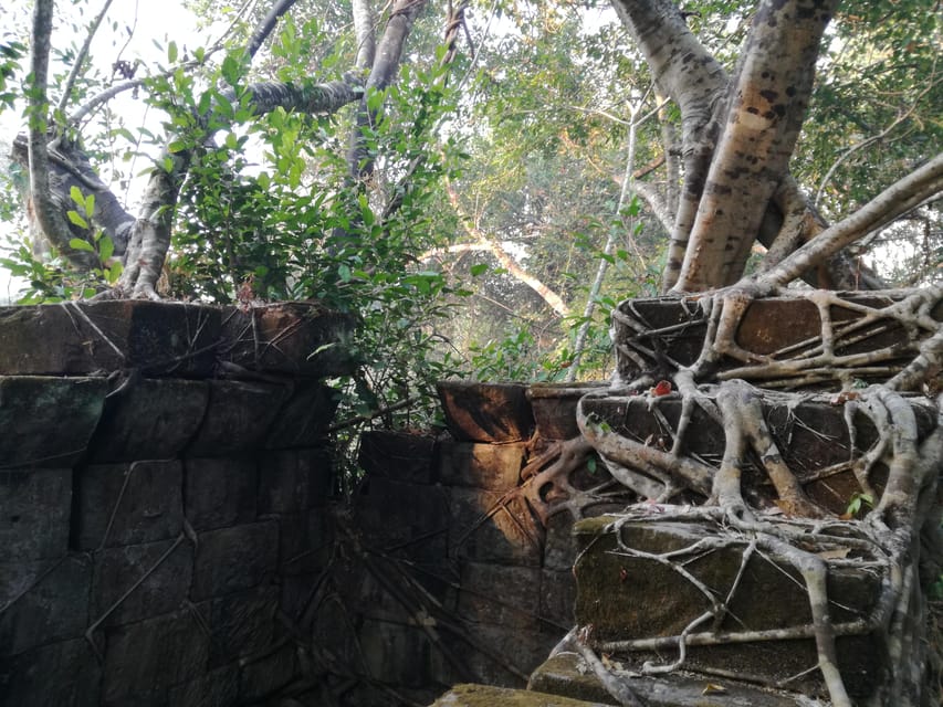 Angkor Temples Highlights Tour: 2 Days with Sunrise - Private car or small group bus?