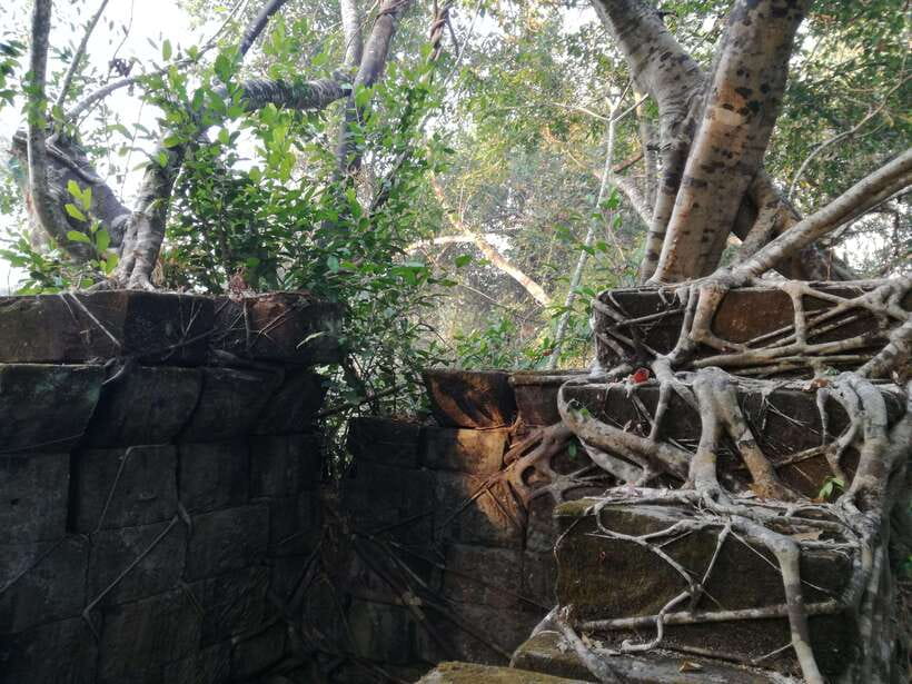 Angkor Temples Highlights Tour: 2 Days with Sunrise - Day two follows the Grand Circuit