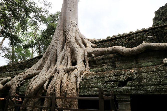 Angkor Temples Private Full-Day Tour from Siem Reap (Free Child) - Sunset adds a final, tiring chapter