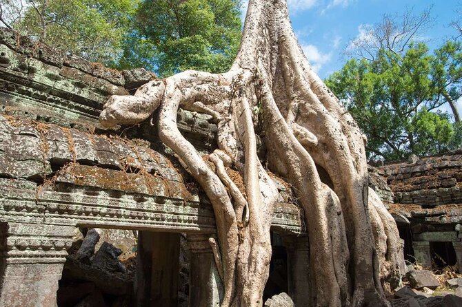 Angkor Thom Ta Prohm and Sunset in Angkor Wat Golden Hour Tour - Who will enjoy this tour most?