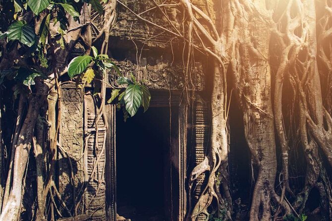 Angkor Thom Ta Prohm and Sunset in Angkor Wat Golden Hour Tour - Ta Prohm shows nature pushing through stone