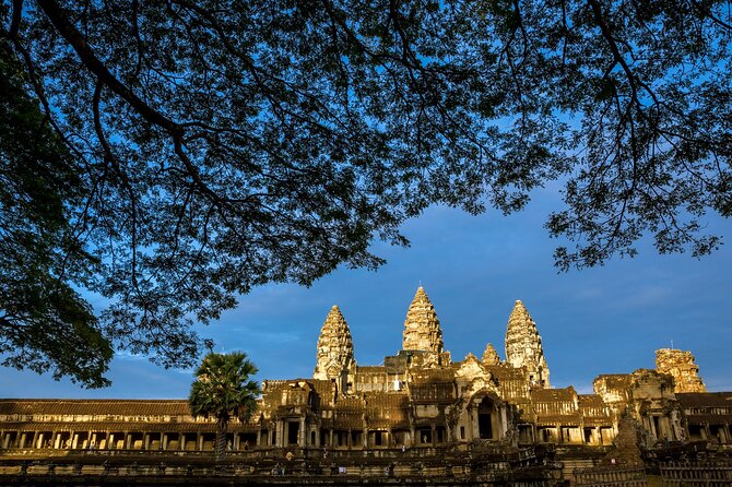 Angkor wat and Small group temples Full day tours - Ta Prohm brings the jungle into the ruins